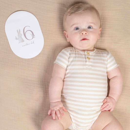 Baby Bunny Milestone Cards