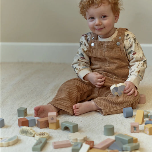 Wooden Building Blocks