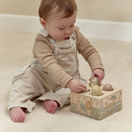 Wooden Pop Up Toy