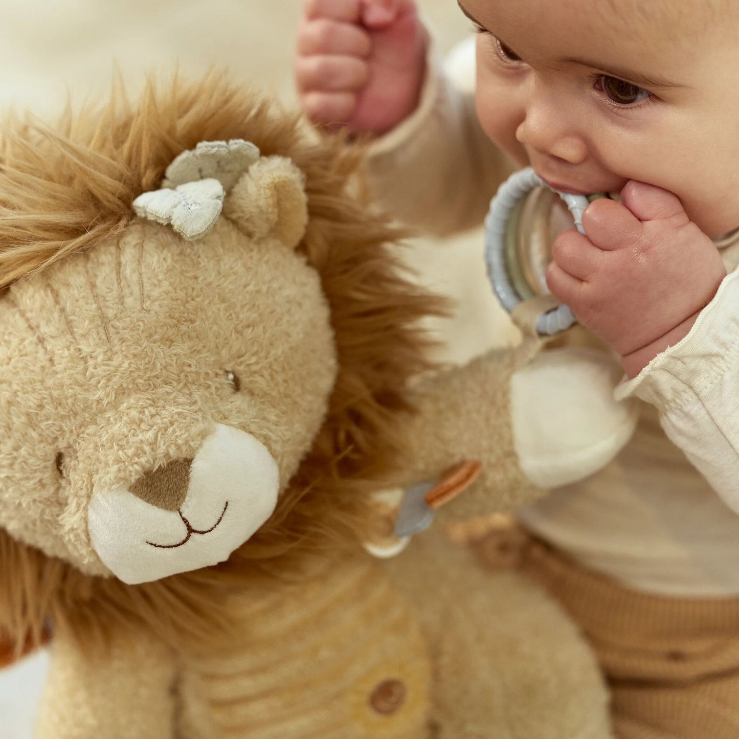 Activity Cuddle Lion