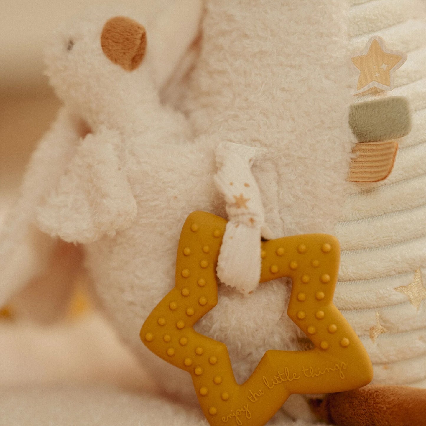 Newborn Naturals Activity Baby Goose