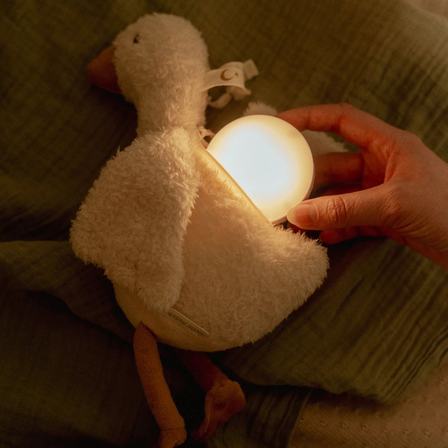 Cuddle Goose Light & Sound