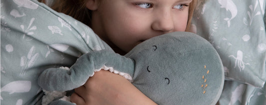 Why is a cuddly toy important for your child?