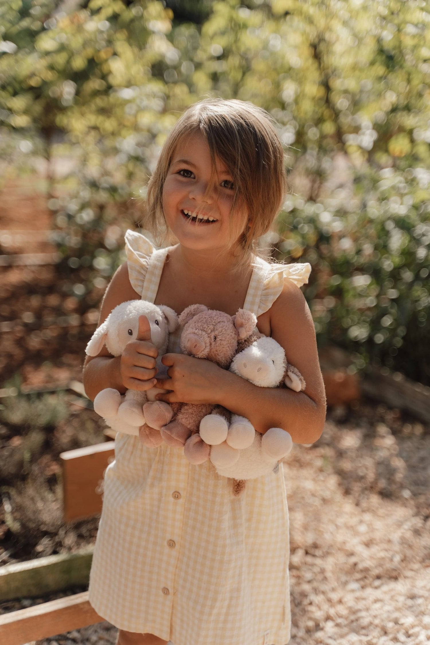 Soft Toys