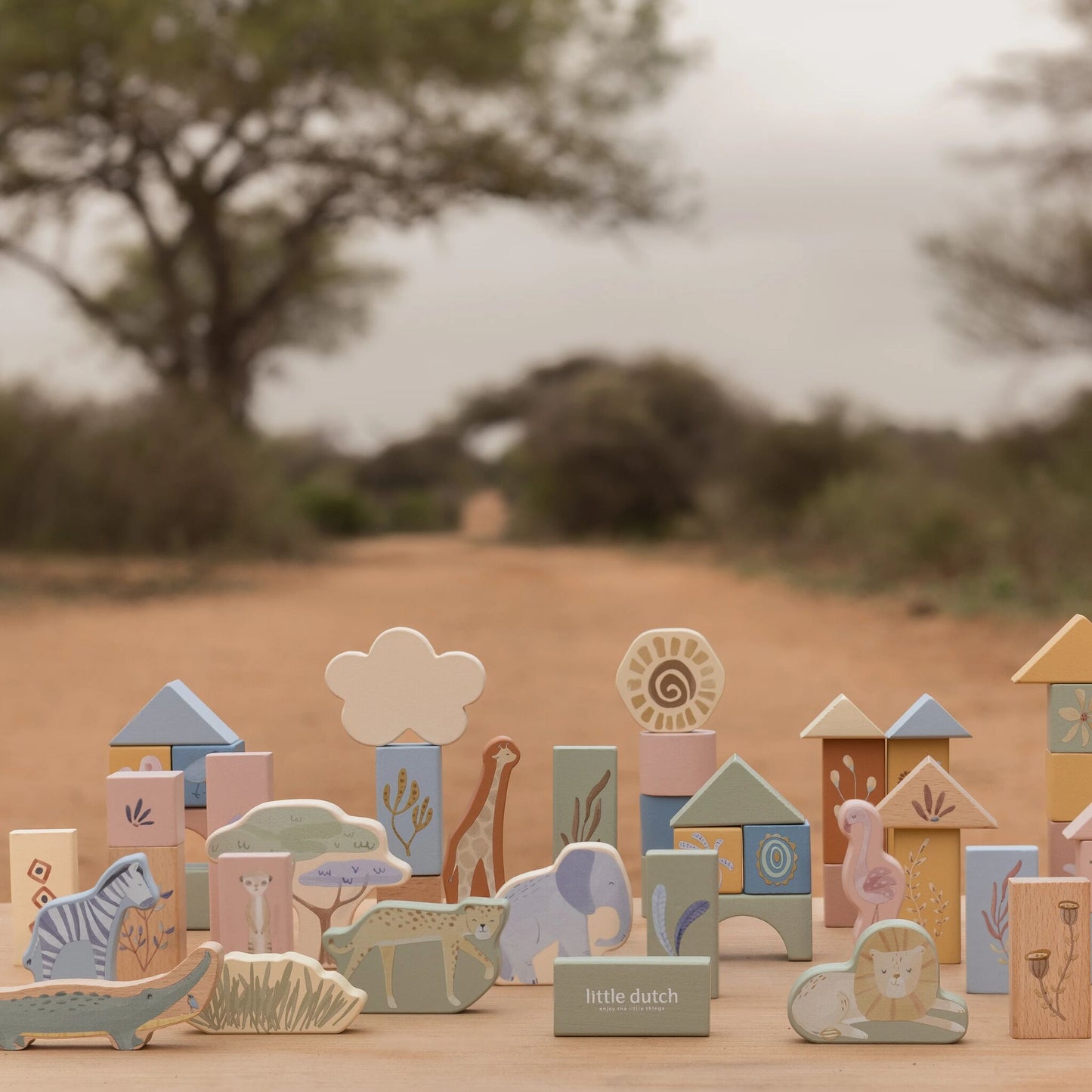 Wooden Building Blocks
