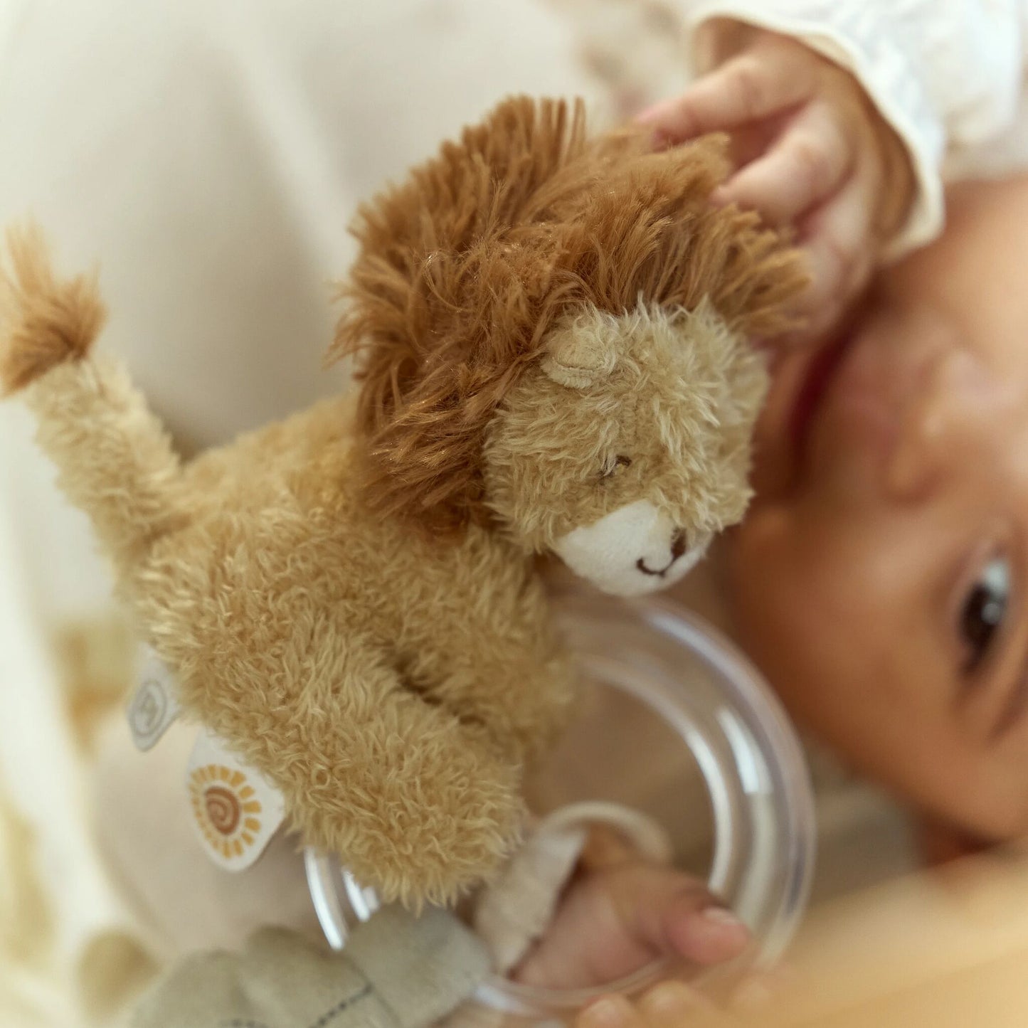Ring Rattle Lion