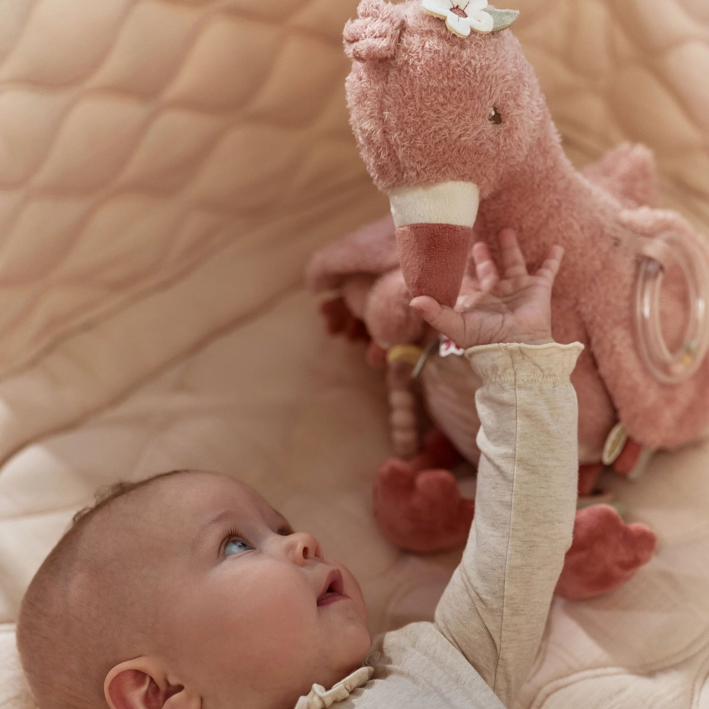 Activity Cuddle Flamingo
