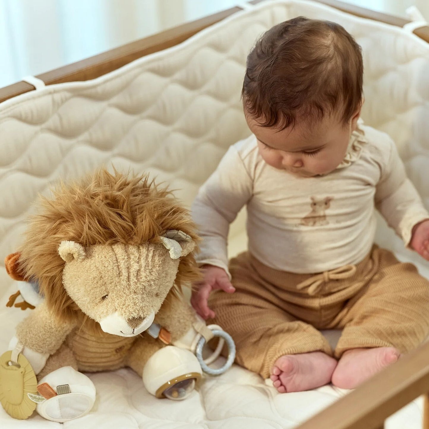 Activity Cuddle Lion