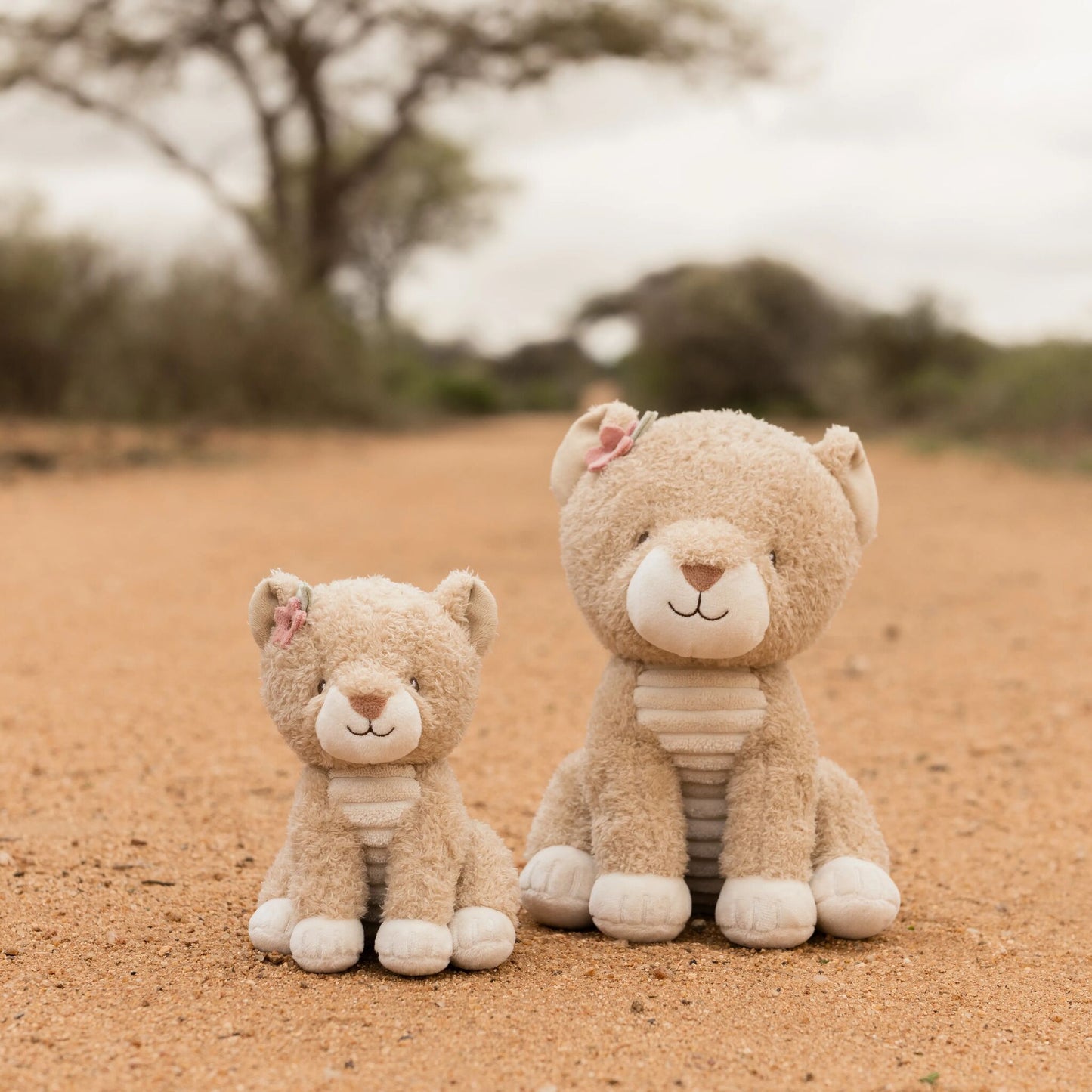 Cuddle Lioness 25cm