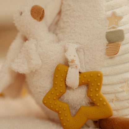 Newborn Naturals Activity Baby Goose