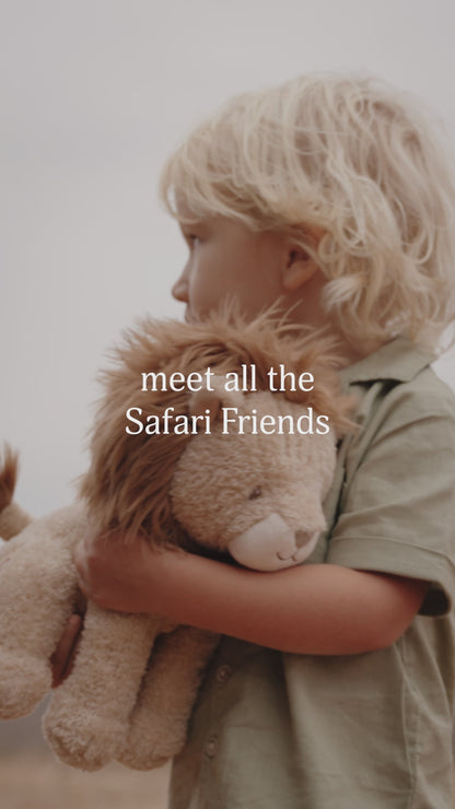 Cuddle Lion 25cm