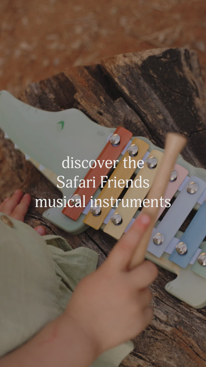 Xylophone Crocodile